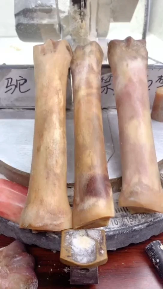 【闪购商品】驼骨手串/手链0000000000000000000