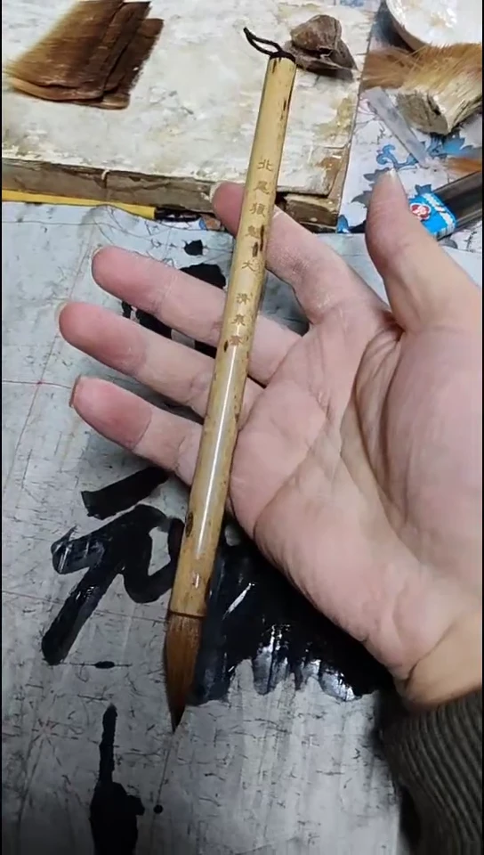 单支  北尾狼魁大