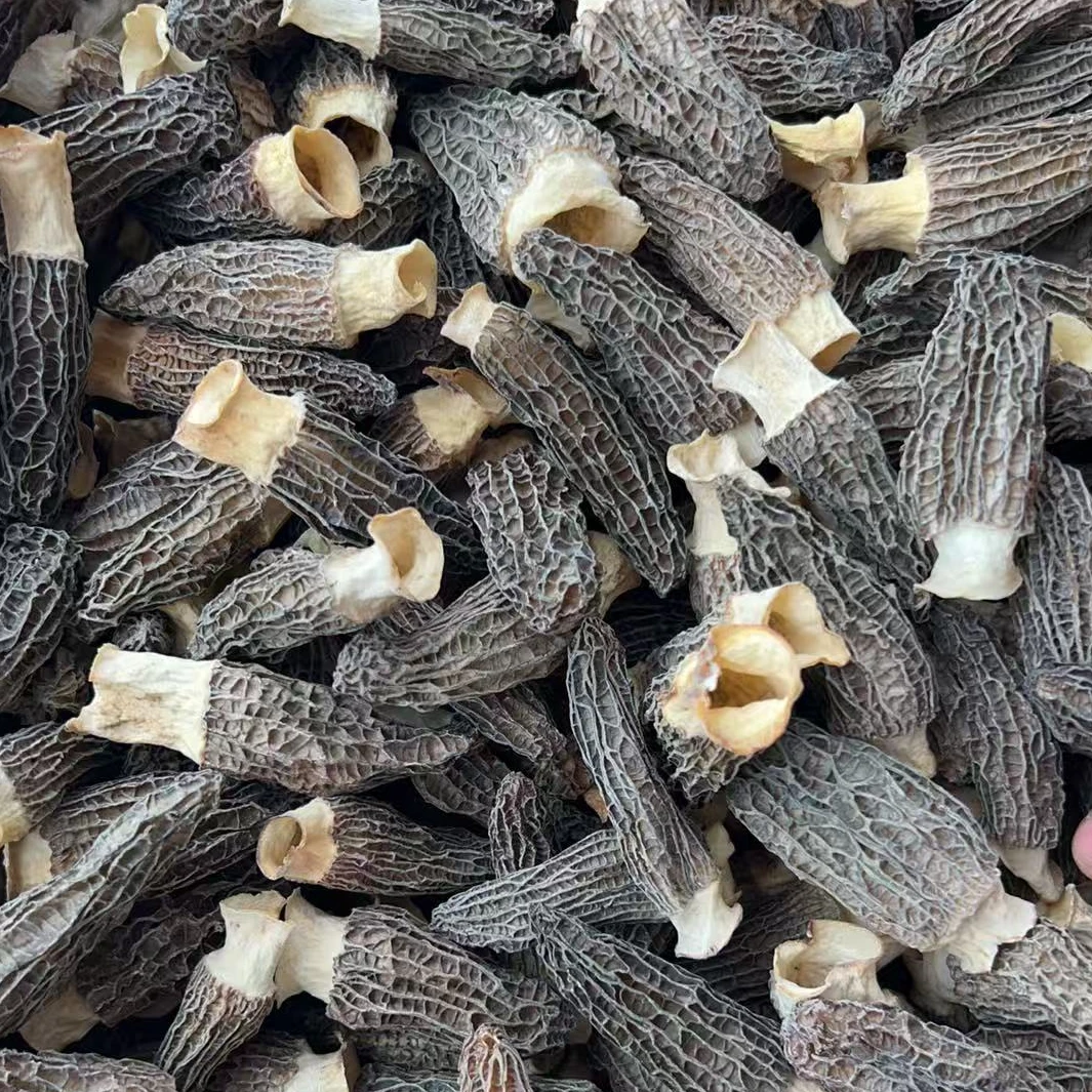 520402干羊肚菌肉厚手选货