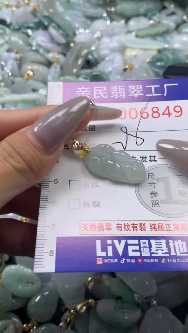 颈饰未镶嵌翡翠6849