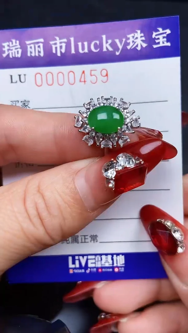 【闪购商品】翡翠颈饰银S925镶嵌0459