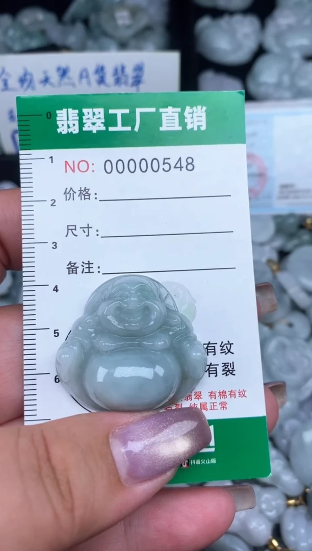 翡翠未镶嵌颈饰缅甸天然A货翡翠0548