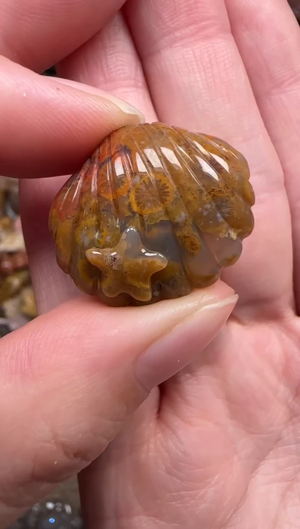 颈饰未镶嵌硅化珊瑚（珊瑚玉）811