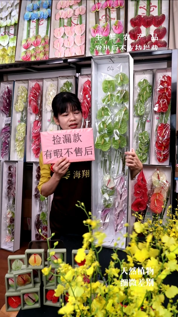 04混色迷你掌20支(15-20cm，横冠幅6cm)微瑕无售后慎拍！