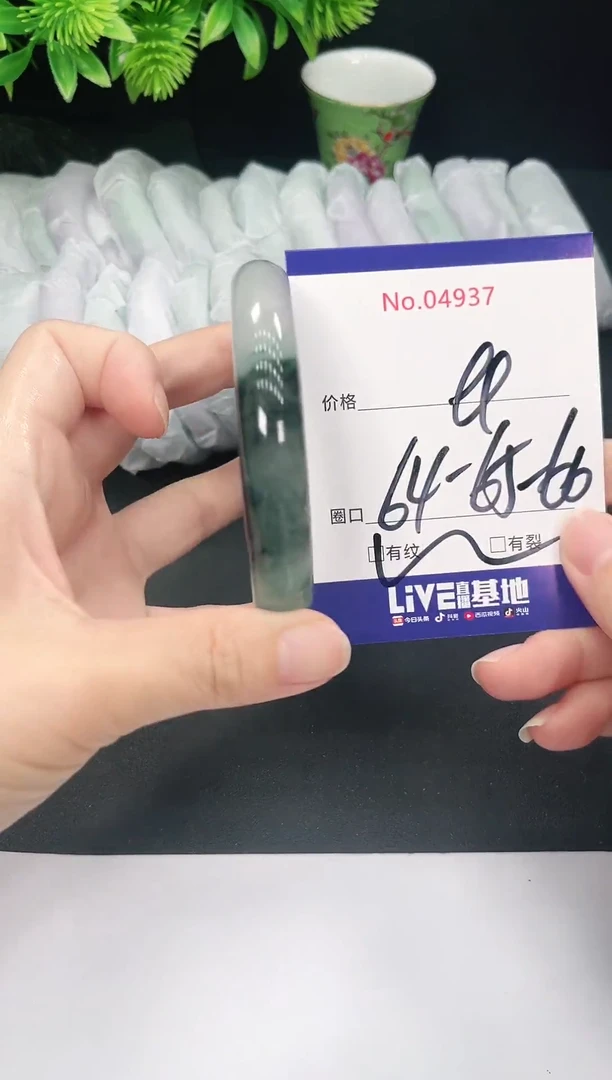 未镶嵌手镯翡翠4937