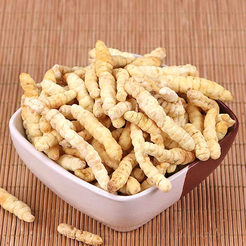 优选好货珍藏【白虫草】    娇阿妹专属