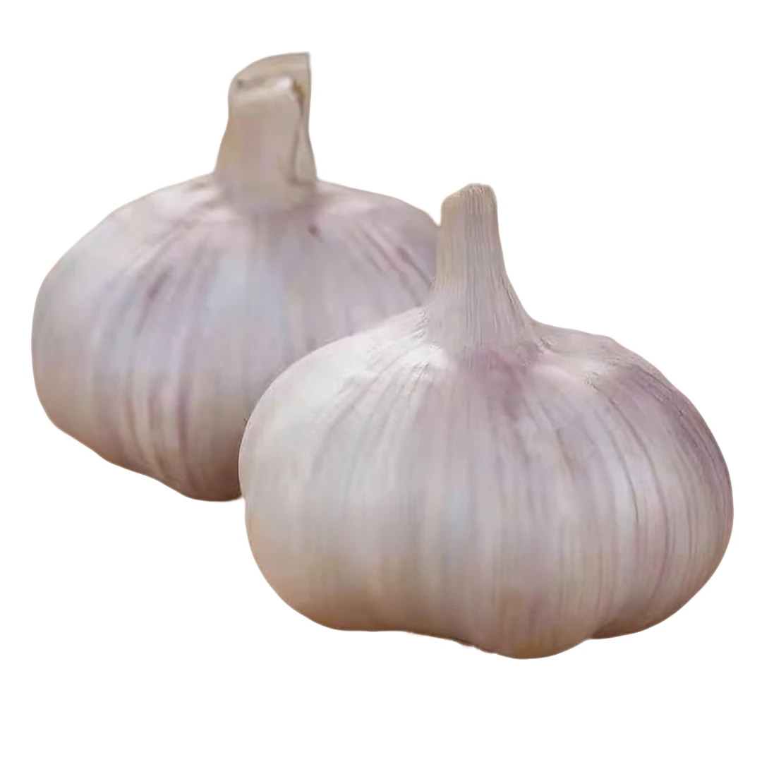 【拍5发6 拍10发12】金乡大蒜60g红皮干蒜农家大蒜大蒜