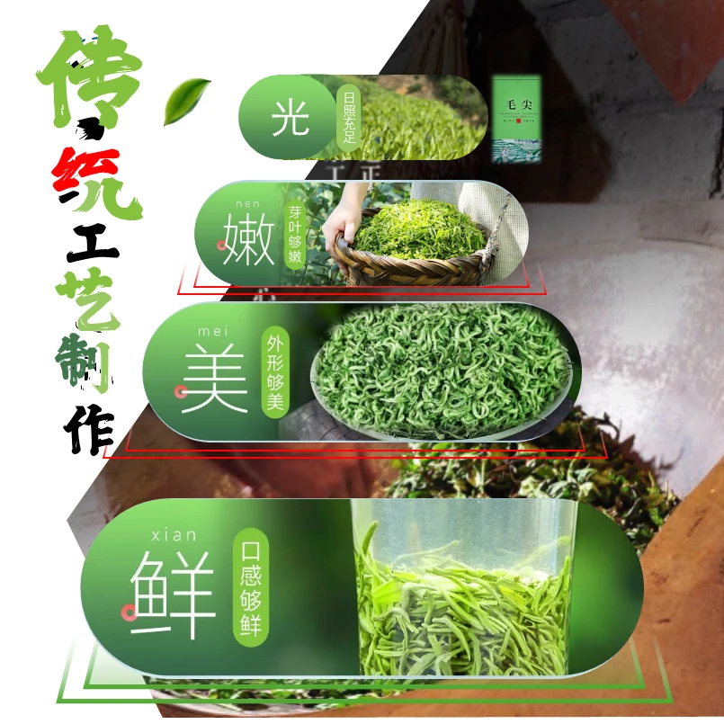 新茶浓香栗香高山中的云雾茶深山茶毛尖绿茶新茶贵州散装绿茶2025