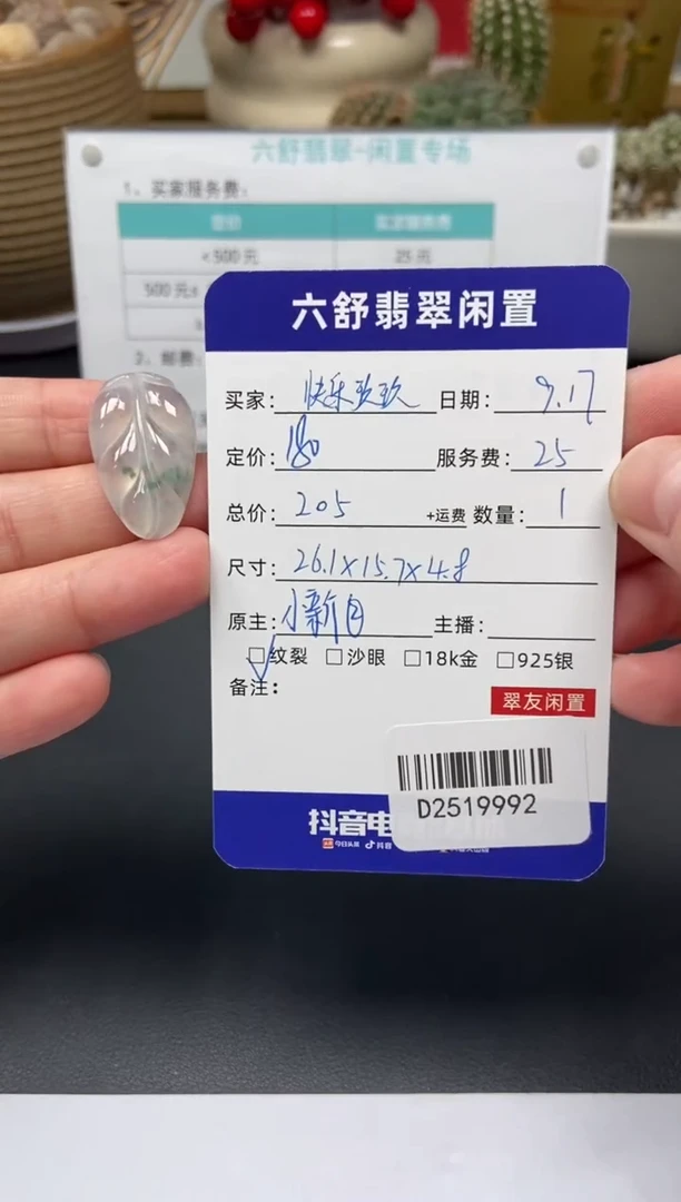 颈饰未镶嵌翡翠快**玖D2519992