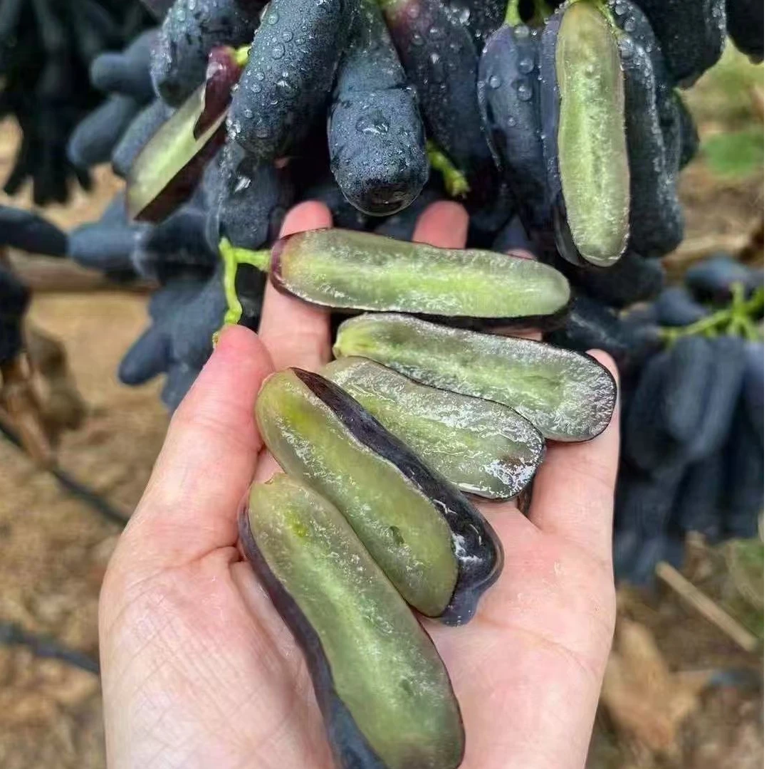 《表妹儿严选》云南金手指葡萄 脆甜无籽 新鲜现摘 3斤、5斤装