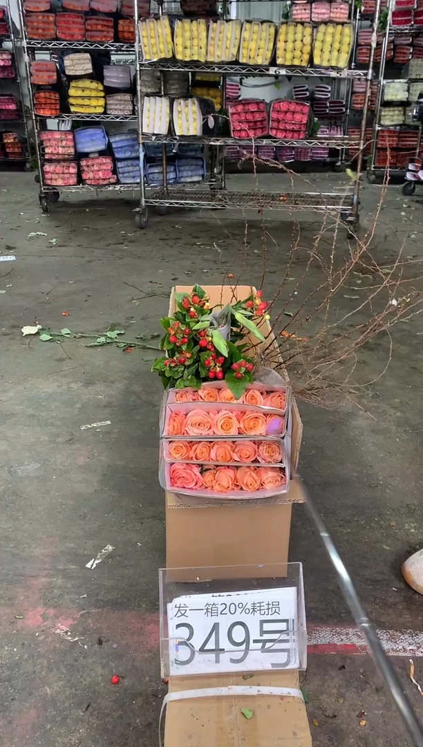 349号♥中通含20%耗损发一箱鲜花