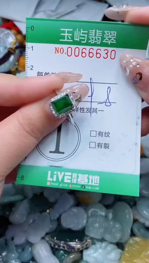 【闪购商品】翡翠颈饰未镶嵌闪购0066630