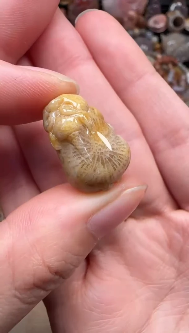 颈饰未镶嵌硅化珊瑚（珊瑚玉）030