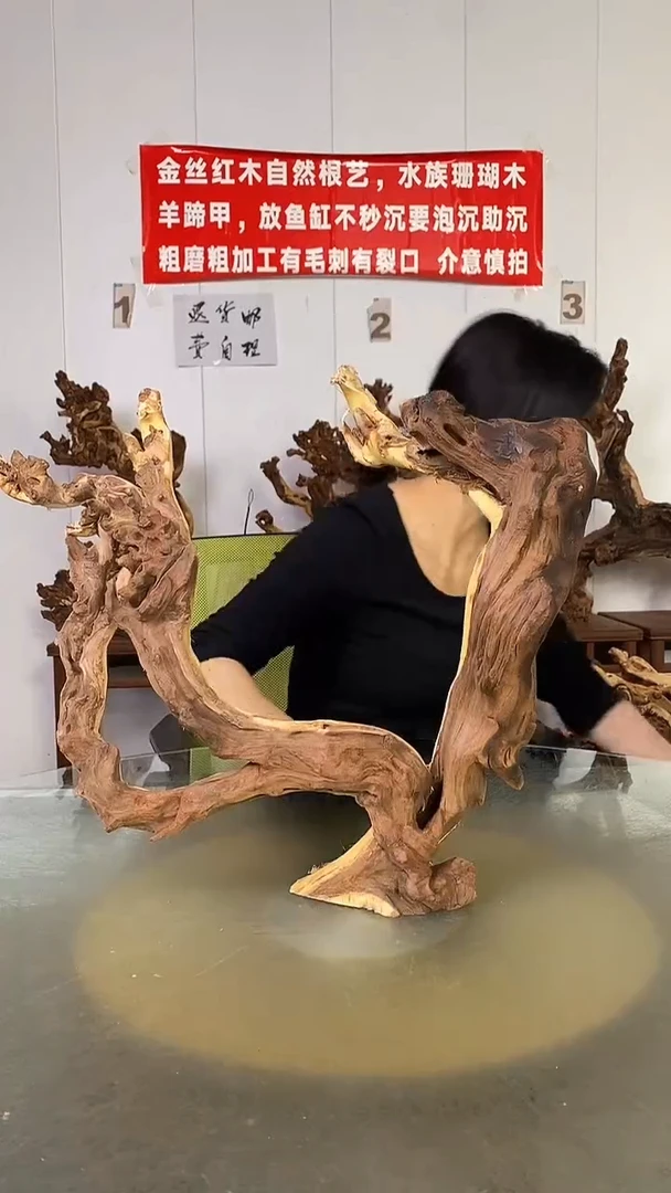 香榧木刘****菜金丝红木 羊蹄甲