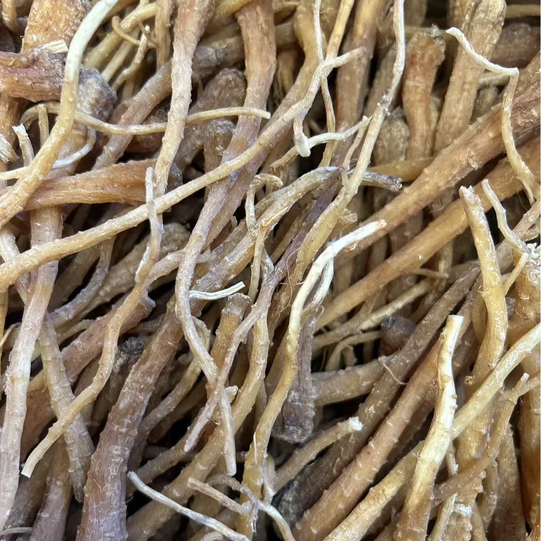 【藏雪参】红毛阳参刺参 传统滋补  食用农产品