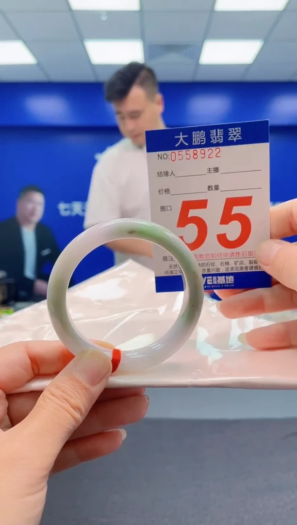 未镶嵌手镯翡翠AAAAAAAAA