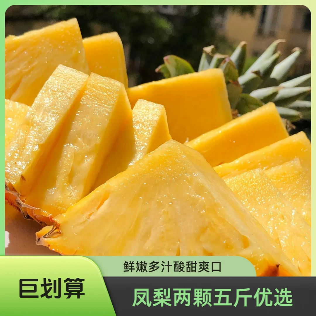 【精选新鲜凤梨两颗装2.5斤±/个】果肉金黄多汁、酸甜适宜、口感爽脆、富含维生素 C 、助力消化开启健康活力~！