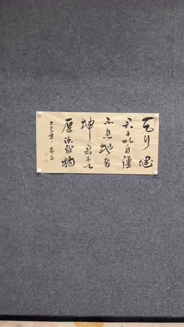 国画10.14-袁志良-书法-福利-天行健