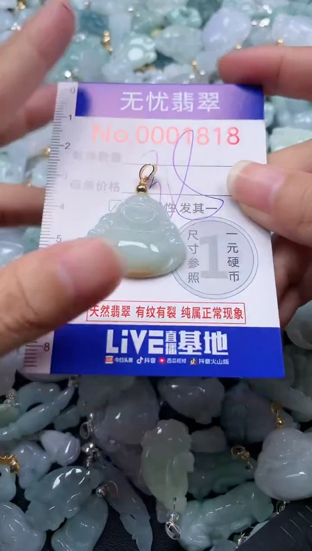 颈饰未镶嵌翡翠1818