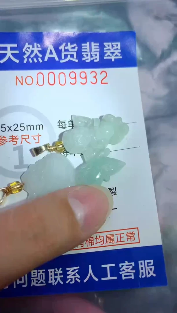 翡翠未镶嵌吊坠(赠链)1