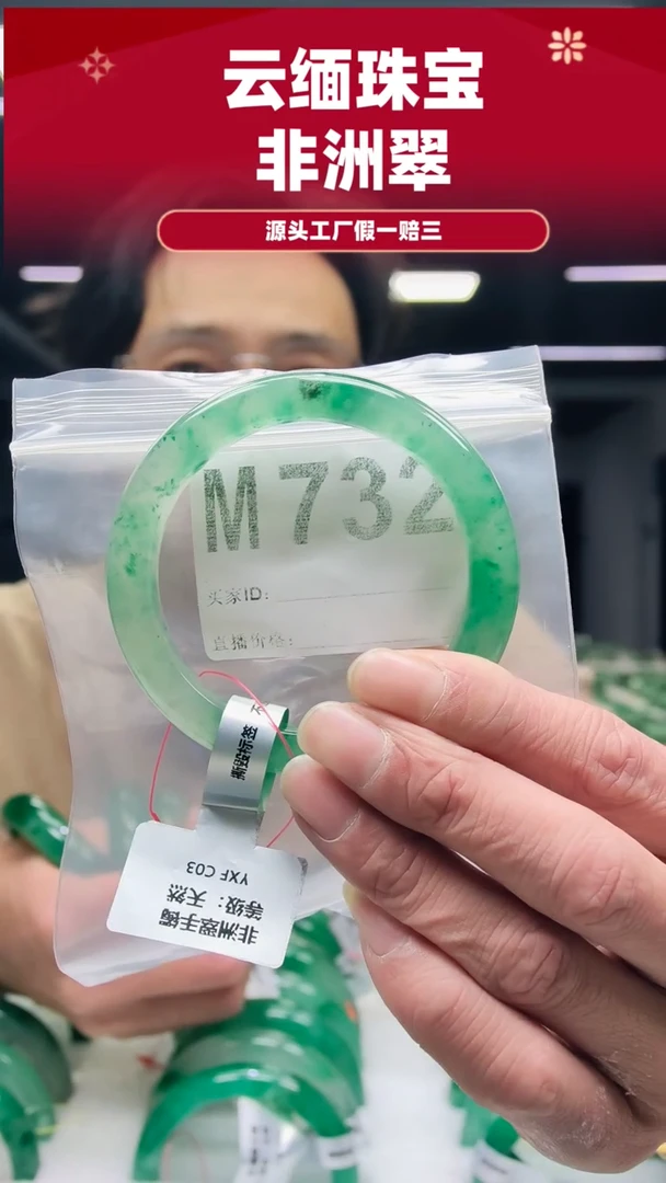 未镶嵌手镯石英质玉（非洲翠）56圈口M732