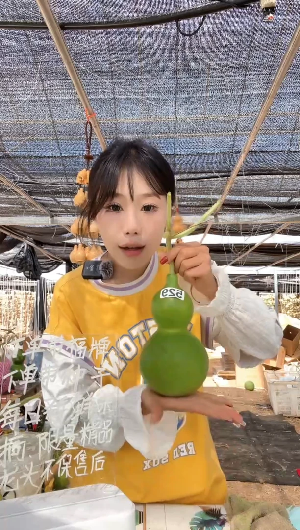 529天然葫芦摆件 一物一拍龙头不保售后