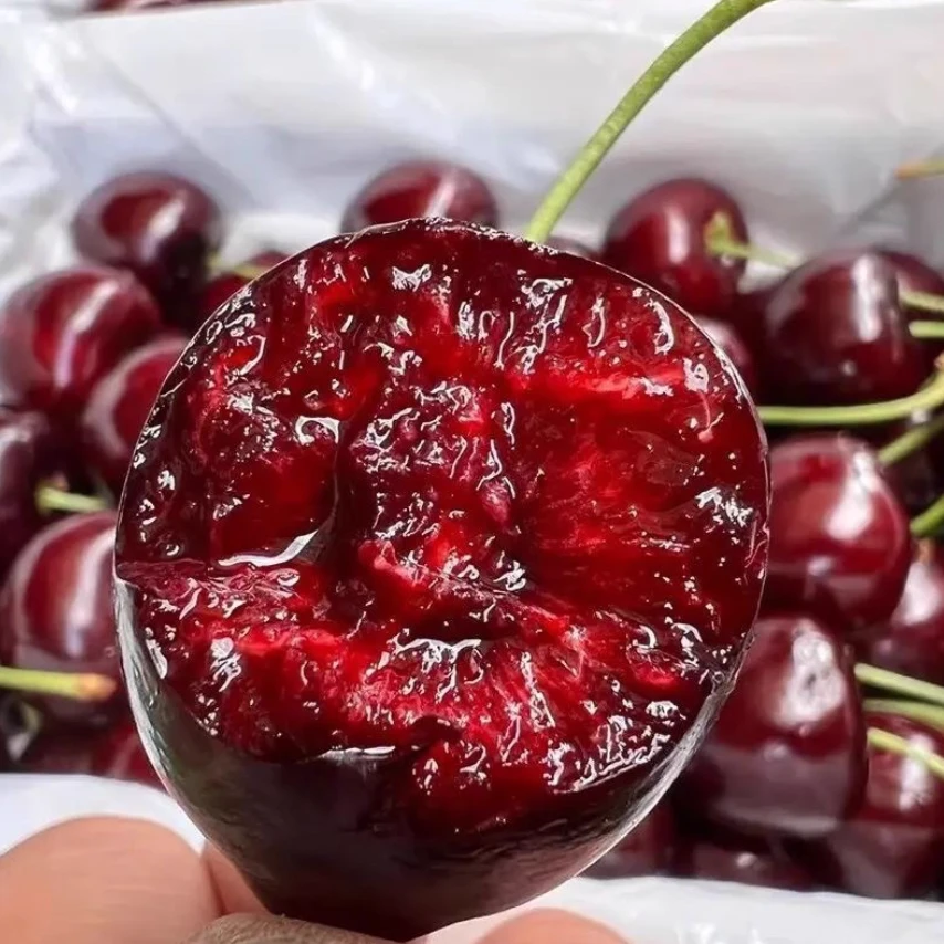 【空运SANTINA次日达】 2/3/4JD/2斤装/L2空运智利进口桑提娜宝宝孕妇新鲜车厘子桑提娜樱桃智利共和国