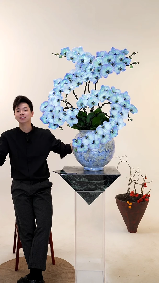 全部花朵055一物一拍蝴蝶兰盆景