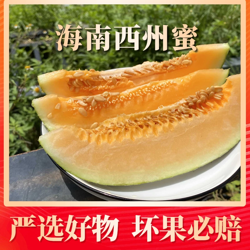 【阿波专属】海南海沙地西州蜜 清甜多汁爽口应季水果包邮发货