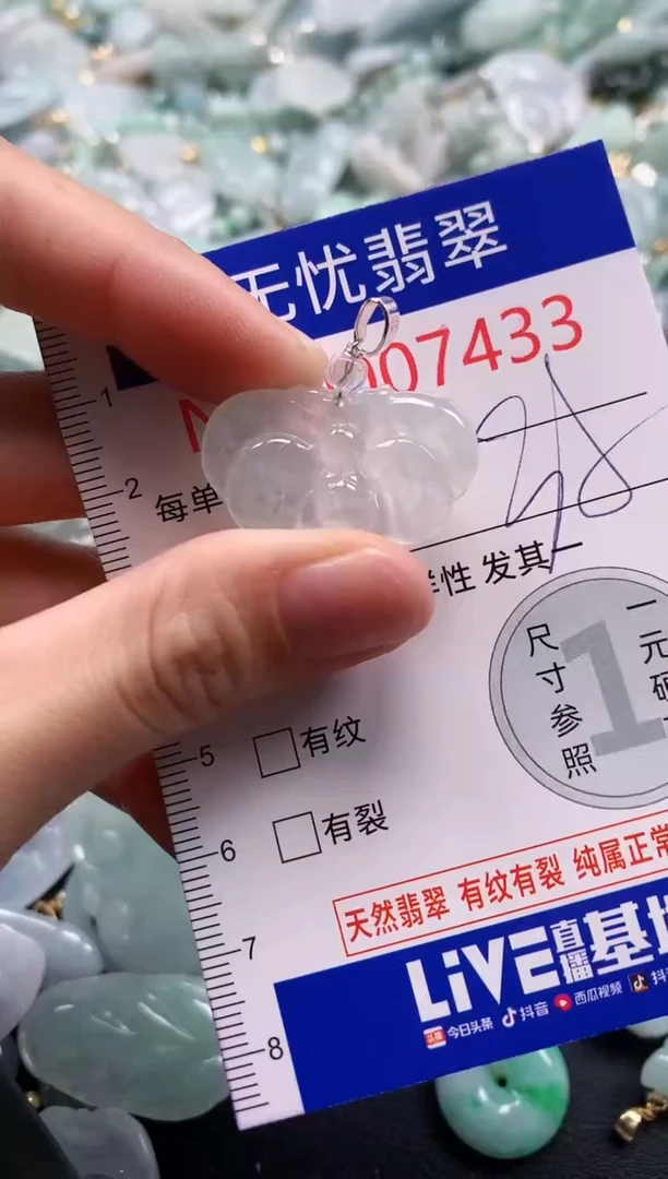 颈饰未镶嵌翡翠7433