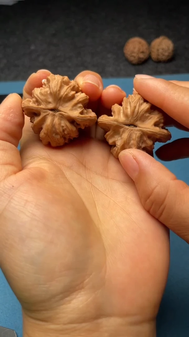 桃核把件w190  霞云岭  39尺