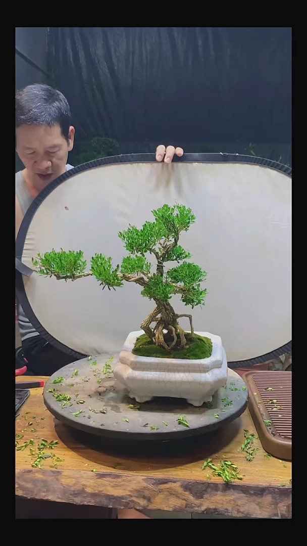 完全开放嘉**术11111111111