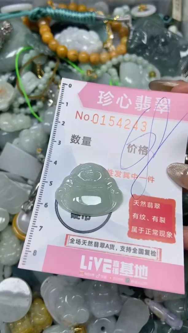 【闪购商品】翡翠颈饰未镶嵌闪购0154243