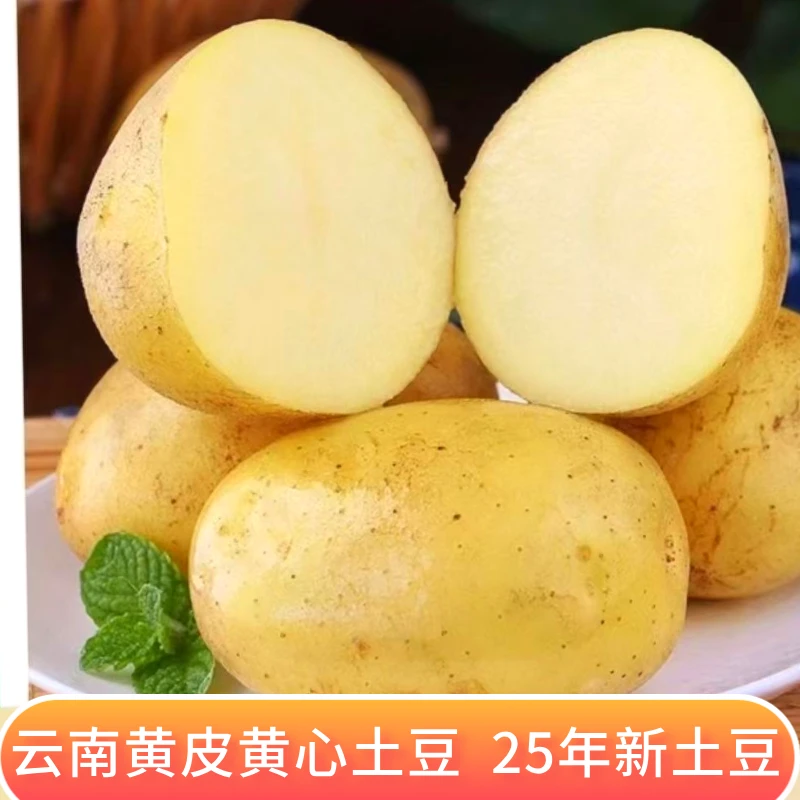 【带箱9.5-10斤】云南高山种植黄皮黄心土豆现挖现发包邮到家