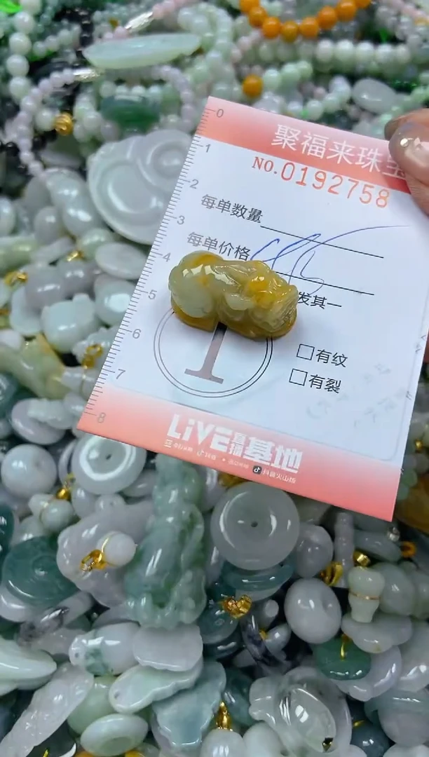 翡翠未镶嵌颈饰闪购0192758