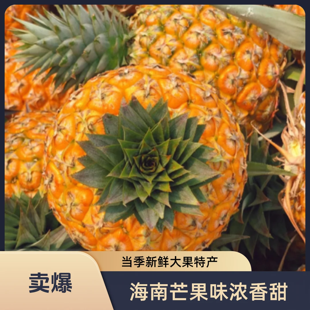 海南芒果凤梨非金钻凤梨新鲜香水菠萝无眼大果特产当季水果包邮