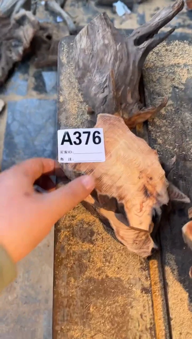 【闪购商品】柏木（崖柏）太行陈化崖柏切片随机一片