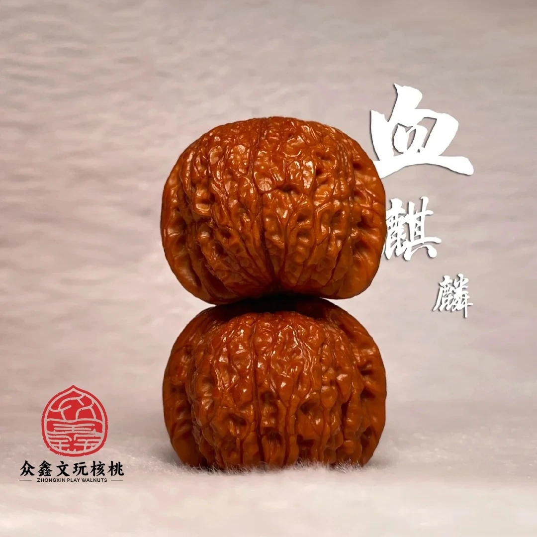 众鑫文玩--血麒麟40左右尺寸（有修）