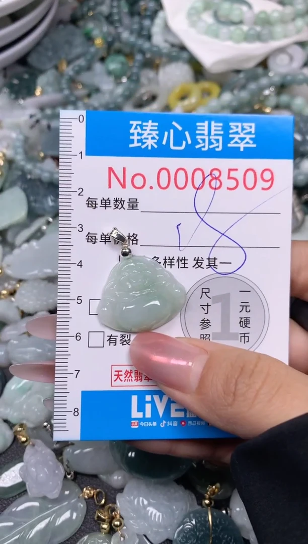 【闪购商品】翡翠颈饰未镶嵌含绳0008509