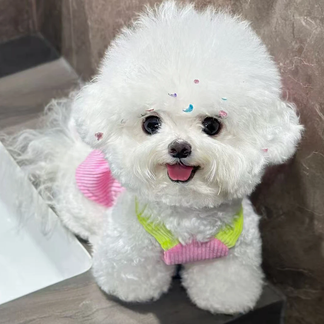 〖萌宠PET宠物生活馆〗狗狗活体链接