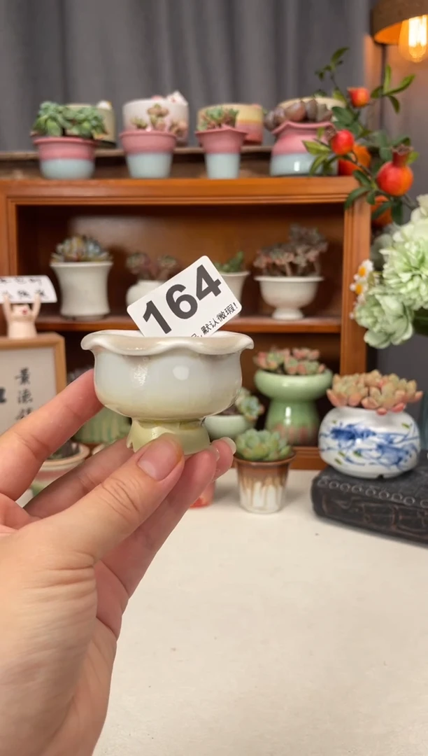 瓷片164知木小芳花盆