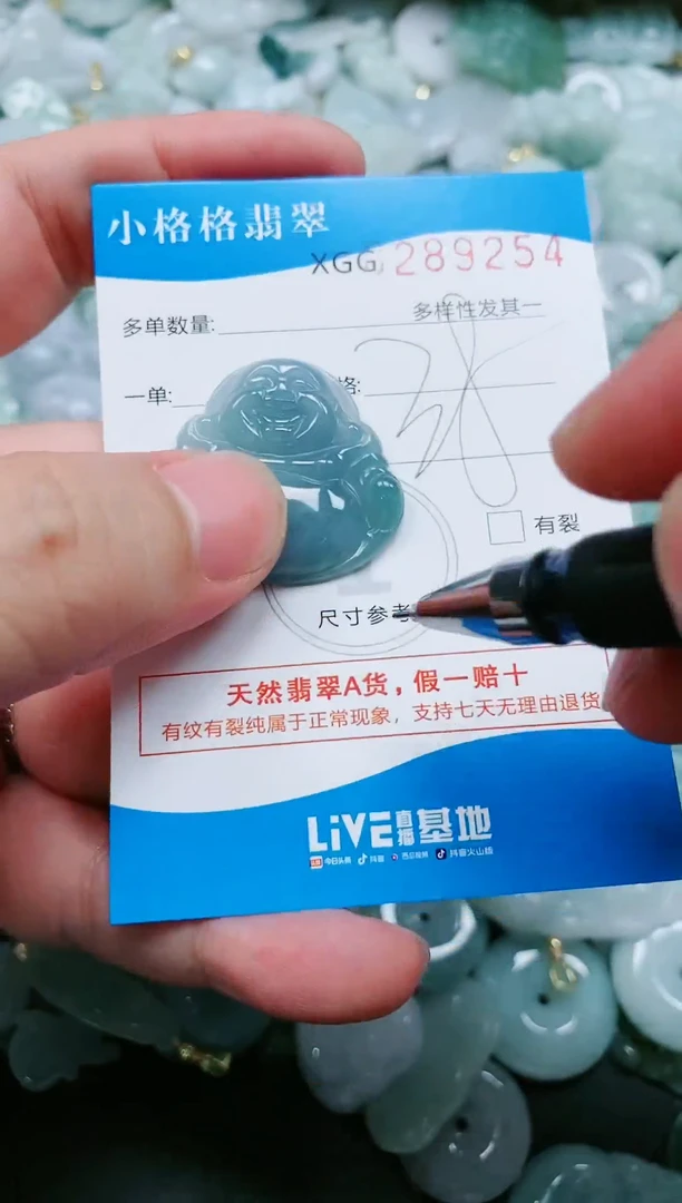 翡翠未镶嵌颈饰闪购商品0289254