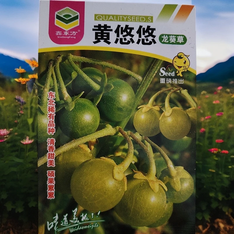 黄悠悠籽100粒左右（黄天天龙葵草籽）