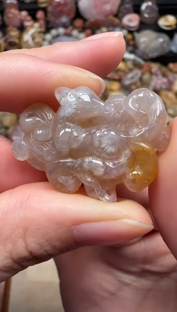 颈饰未镶嵌硅化珊瑚（珊瑚玉）646