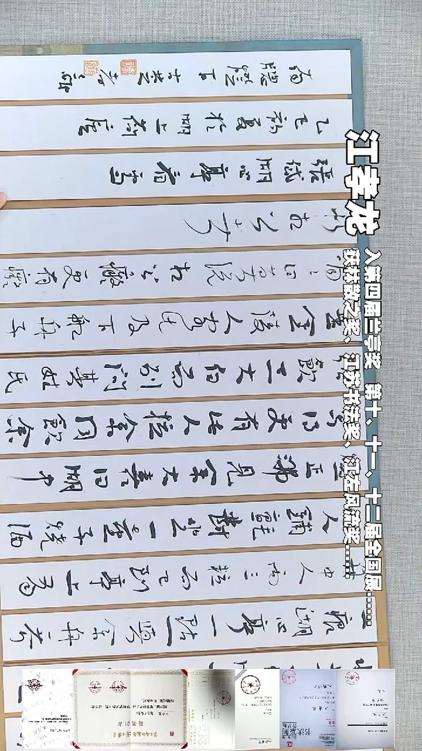 书法江孝龙书法册页湖心亭看雪35*83