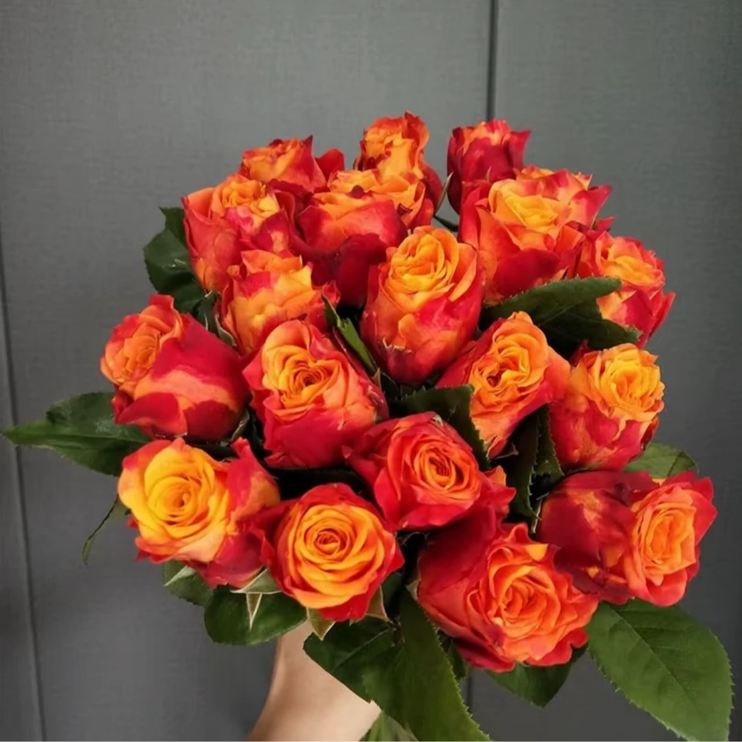 鲜花【火焰 玫瑰】家庭同地址两单顺丰或京东包邮送货上门+配草1扎