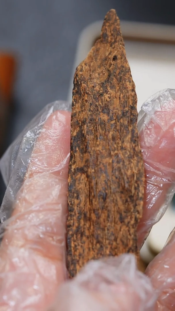 沉香沉香碎屑斯里兰卡虎斑沉水5克