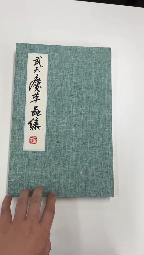 国画用****7武天庆老师贝叶草虫册页