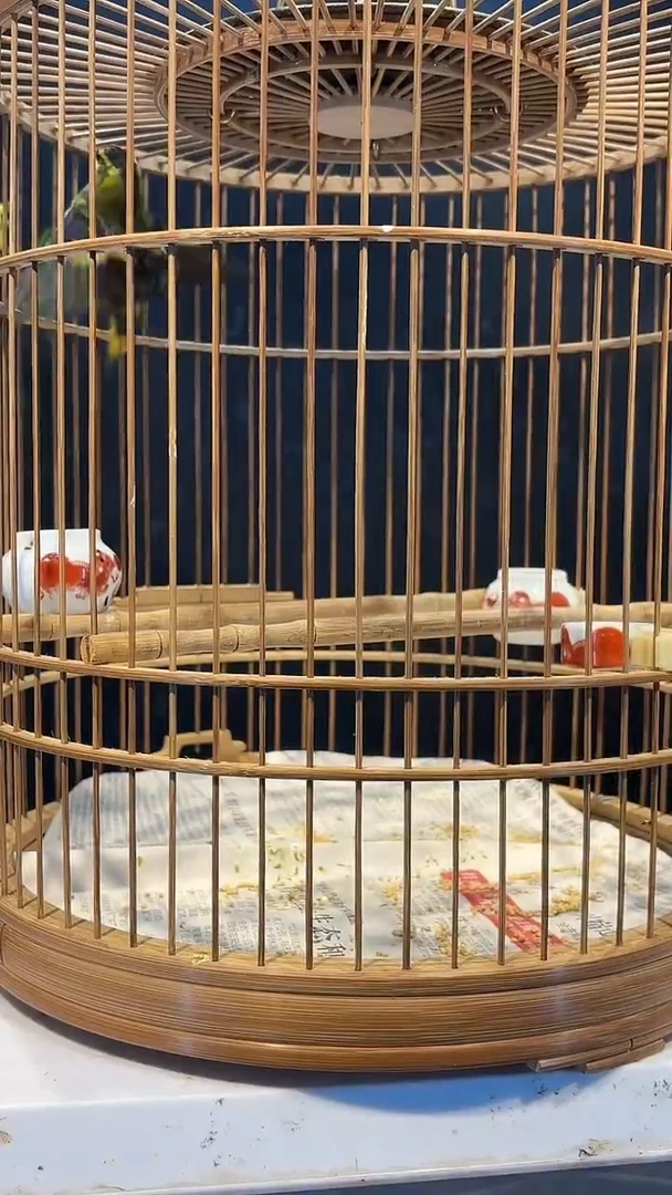 4号  黄雀养笼  0元起拍