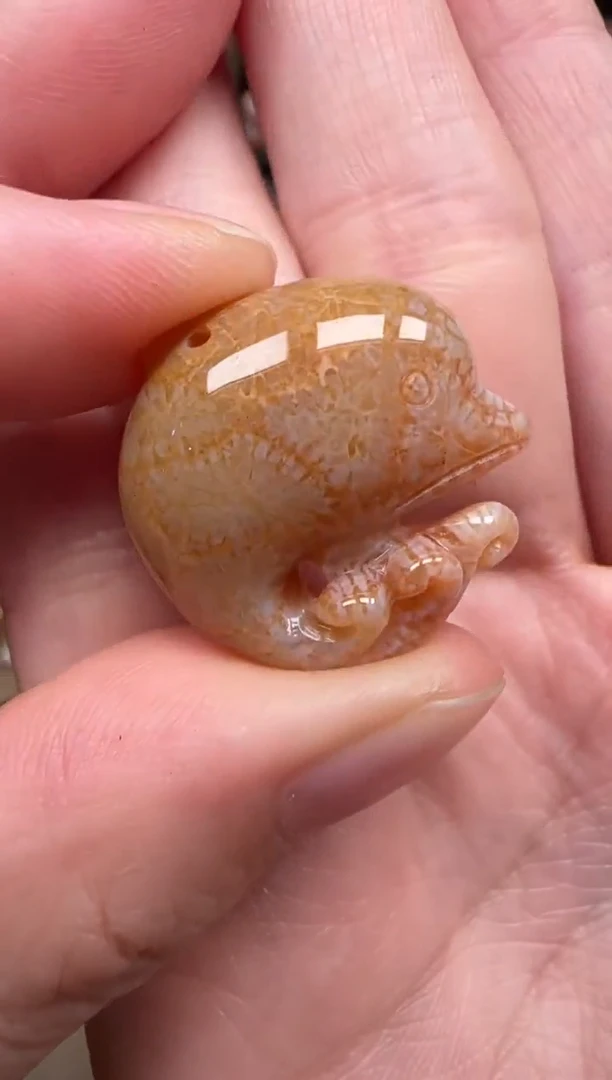 颈饰未镶嵌硅化珊瑚（珊瑚玉）652